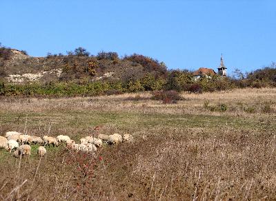 Click to enlarge image egyeb100.JPG