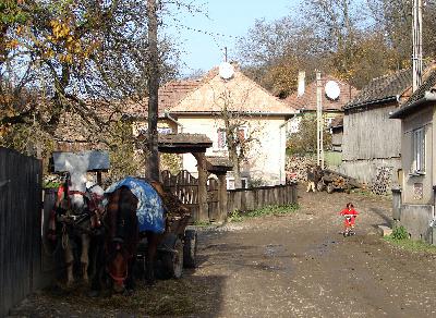 Click to enlarge image eletkep2.JPG