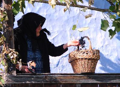 Click to enlarge image eletkep3.JPG