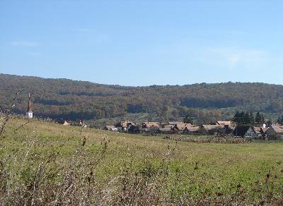 Click to enlarge image falukep.JPG