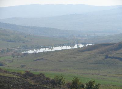 Click to enlarge image halasto1.JPG