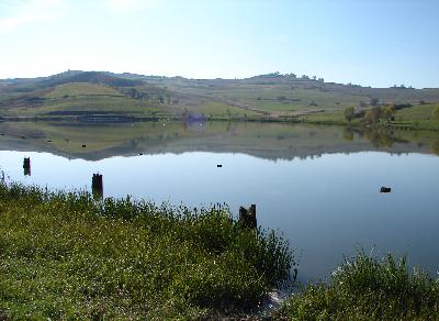 Click to enlarge image halasto2.JPG