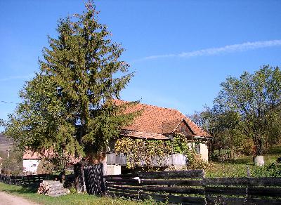 Click to enlarge image haz009.JPG