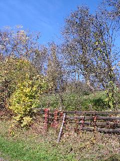 Click to enlarge image tajkep3.JPG